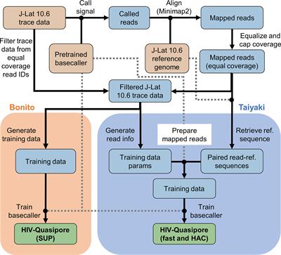 HIV-Quasipore: A Suite of HIV-1-Specific Nanopore Basecallers Designed to Enhance Viral Quasispecies Detection